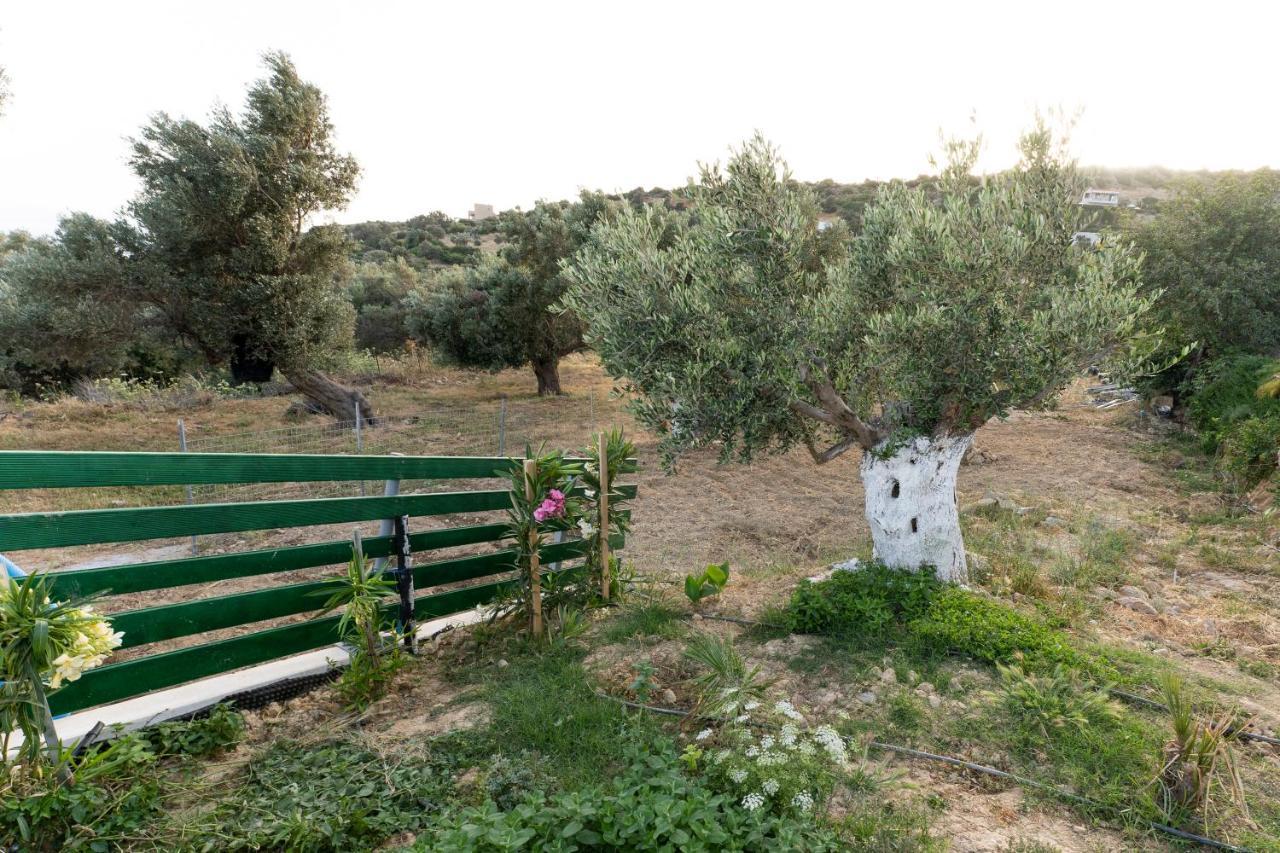 Galini House Vakantiehuis *